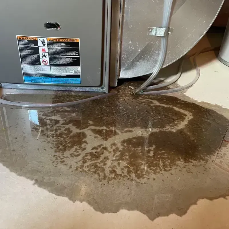 Appliance Leak Cleanup in Fort Valley, GA